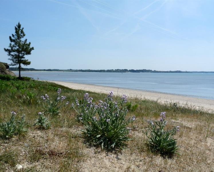 RESIDENCE LES ILES