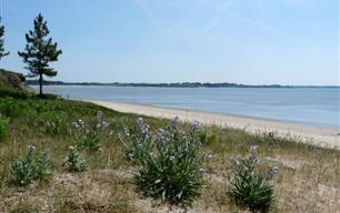 RESIDENCE LES ILES