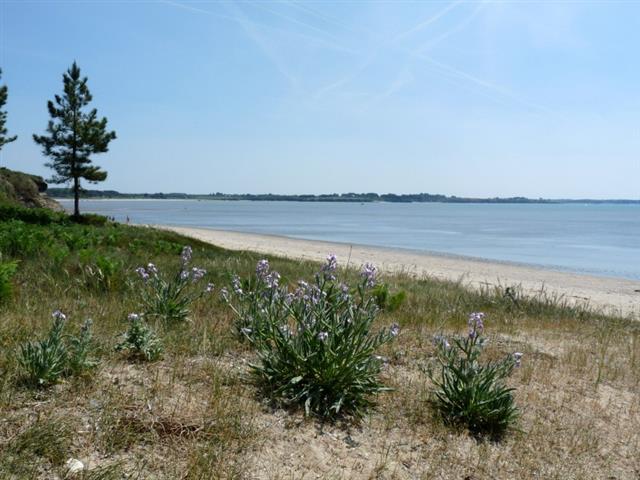 RESIDENCE LES ILES