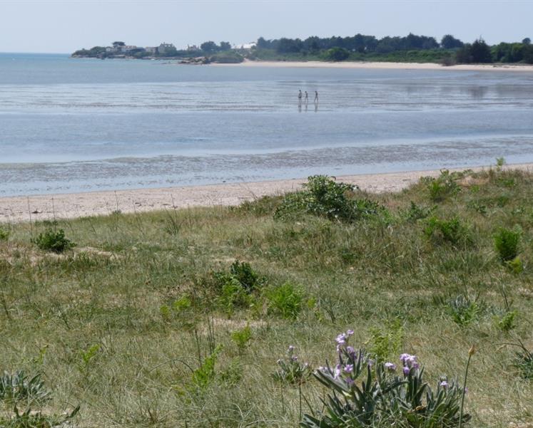 RESIDENCE LES ILES